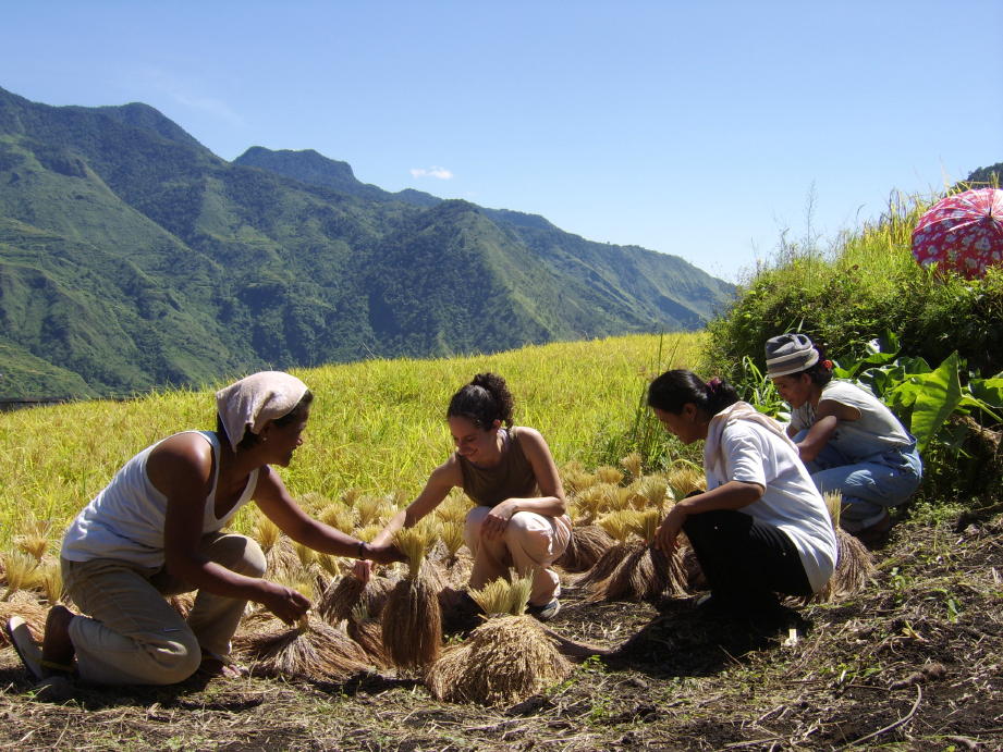 Inspecting the harvest in Pasil, Kalinga
